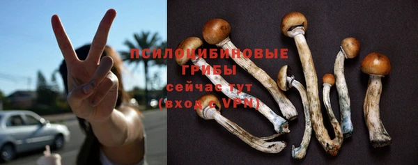 не бодяженный Осташков