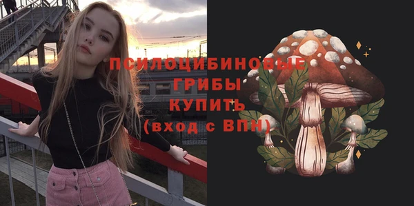 ECSTASY Осинники