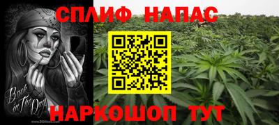 стафф Обь