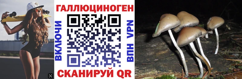 OMG зеркало Соликамск Псилоцибиновые грибы GOLDEN TEACHER